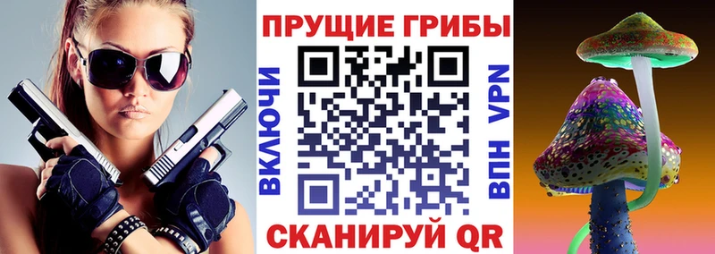 где найти   Партизанск  Псилоцибиновые грибы прущие грибы 